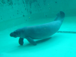 PA0_0043.JPG